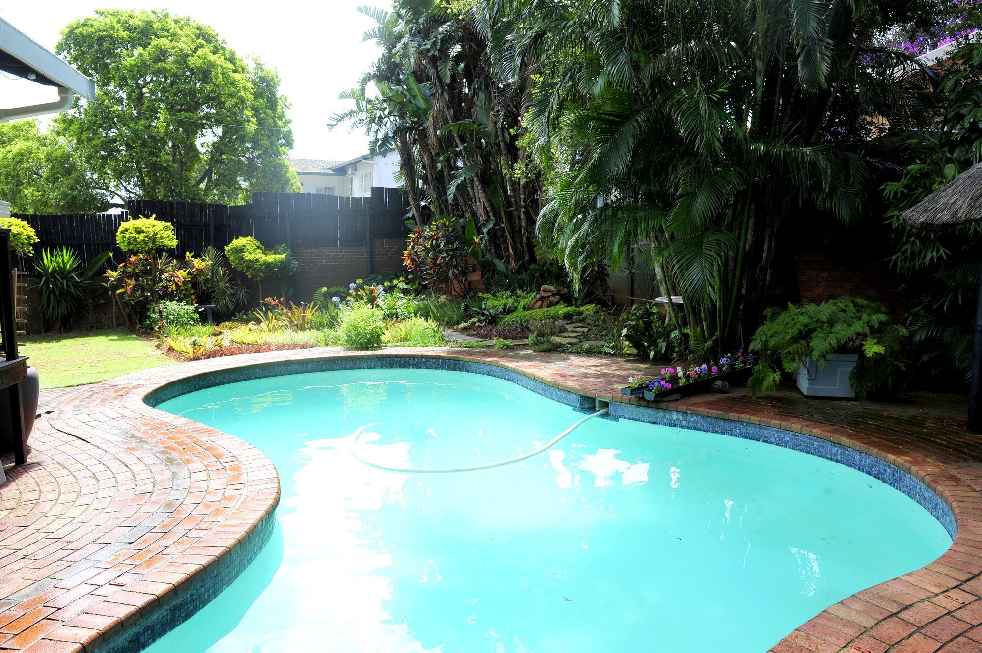 Oliveroom Self Catering And B&B Durban Exterior photo
